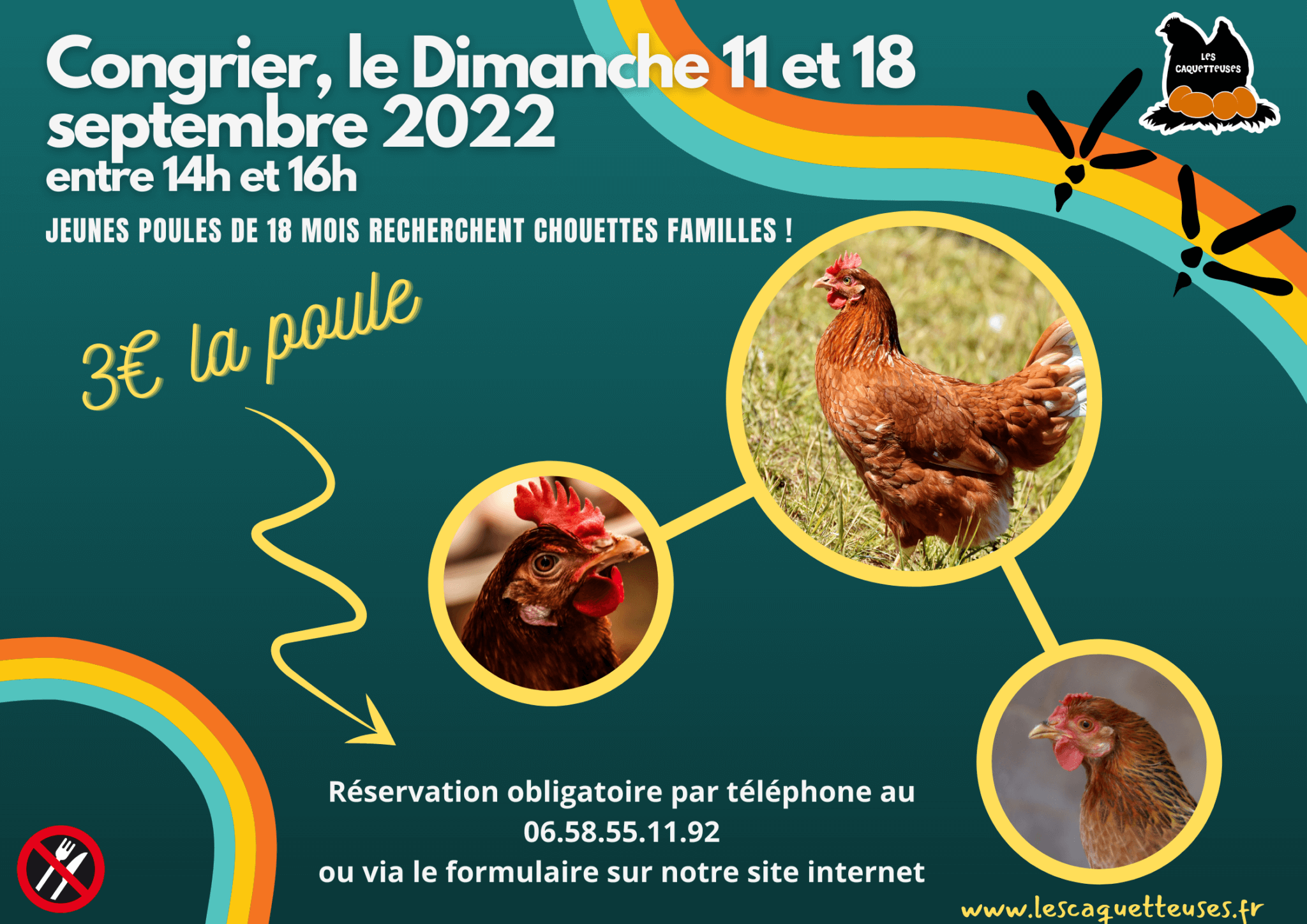 Sauvetage de poules de réforme Bio à Congrier 53 le 11 et 18 septembre 2022 Les caquetteuses